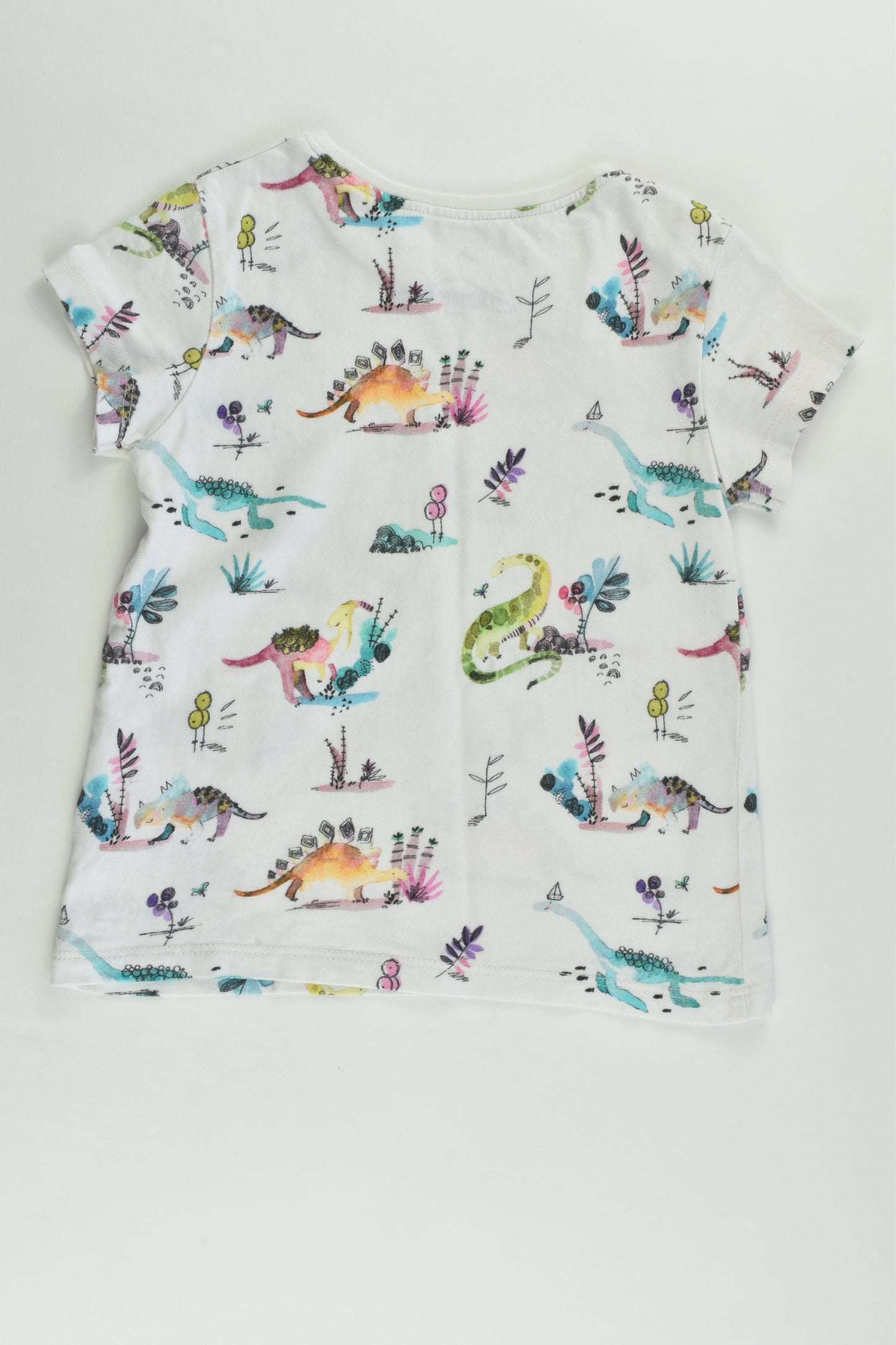 Next Size 2 (92 cm) Dinosaur T-shirt