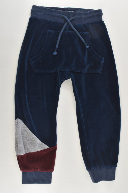 Next Size 3-4 (104 cm) Velour Pants