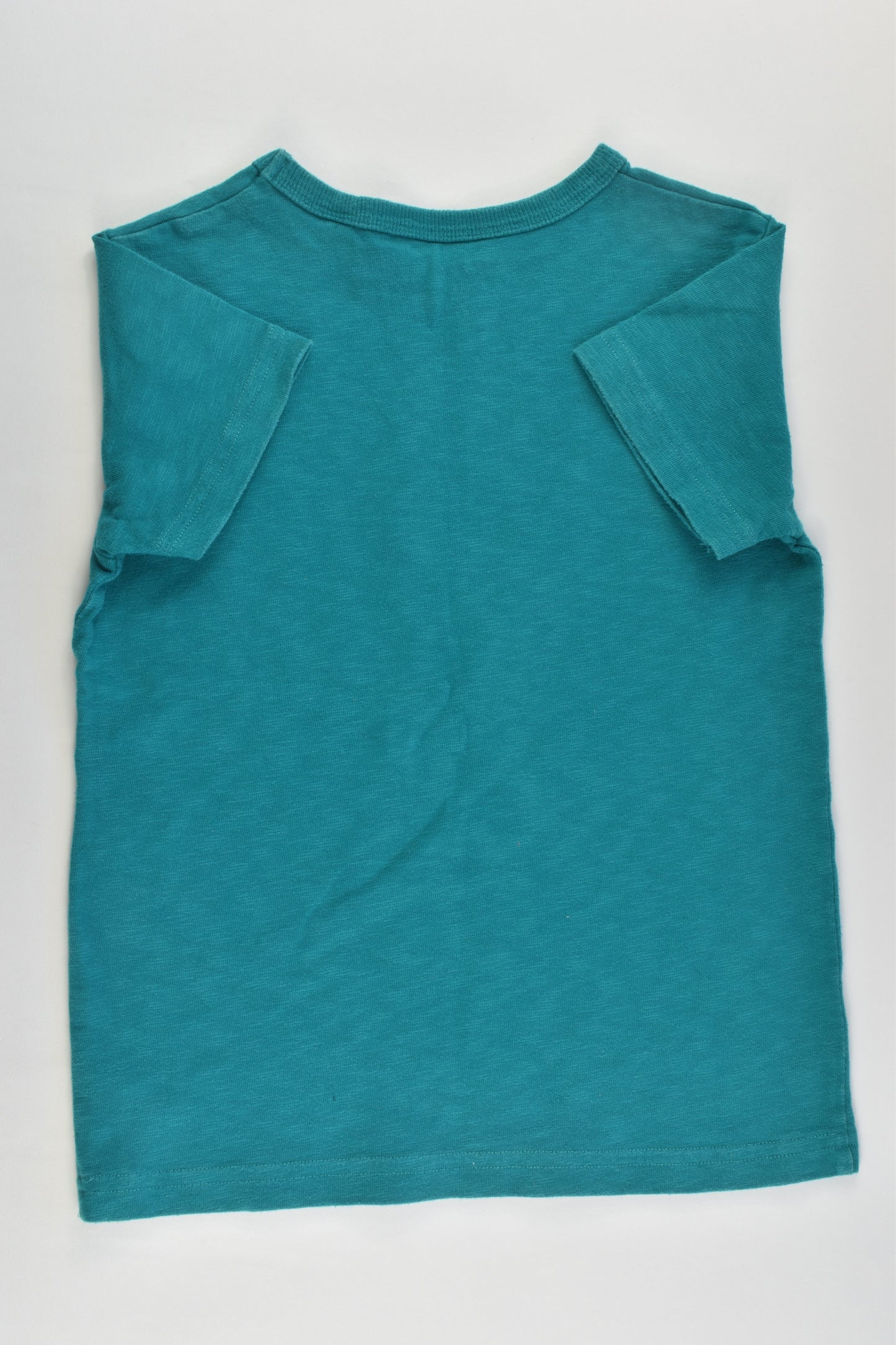 Next Size 4 (104 cm)Dinosaur T-shir