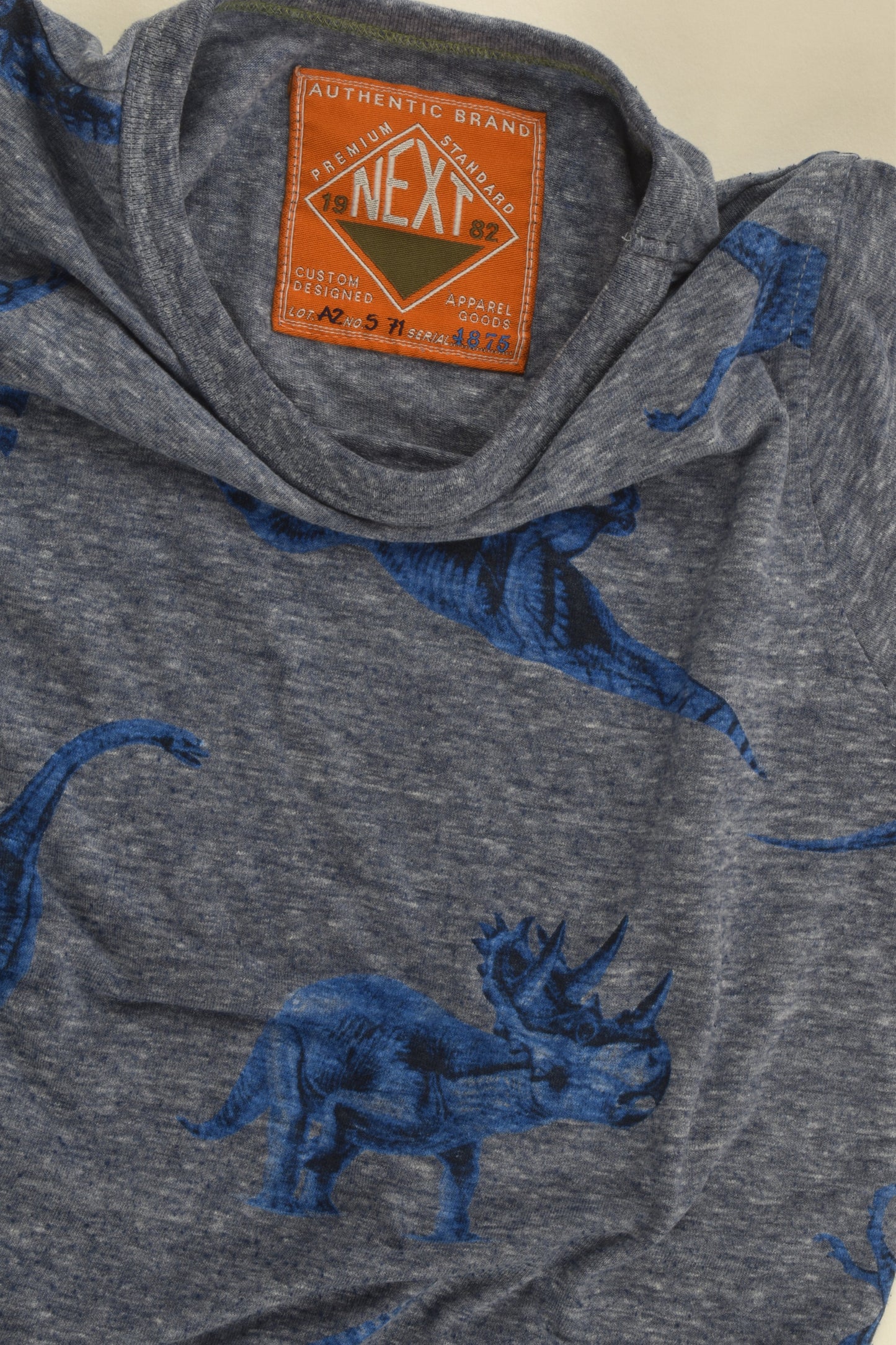 Next Size 6-7 Dinosaur T-Shirt