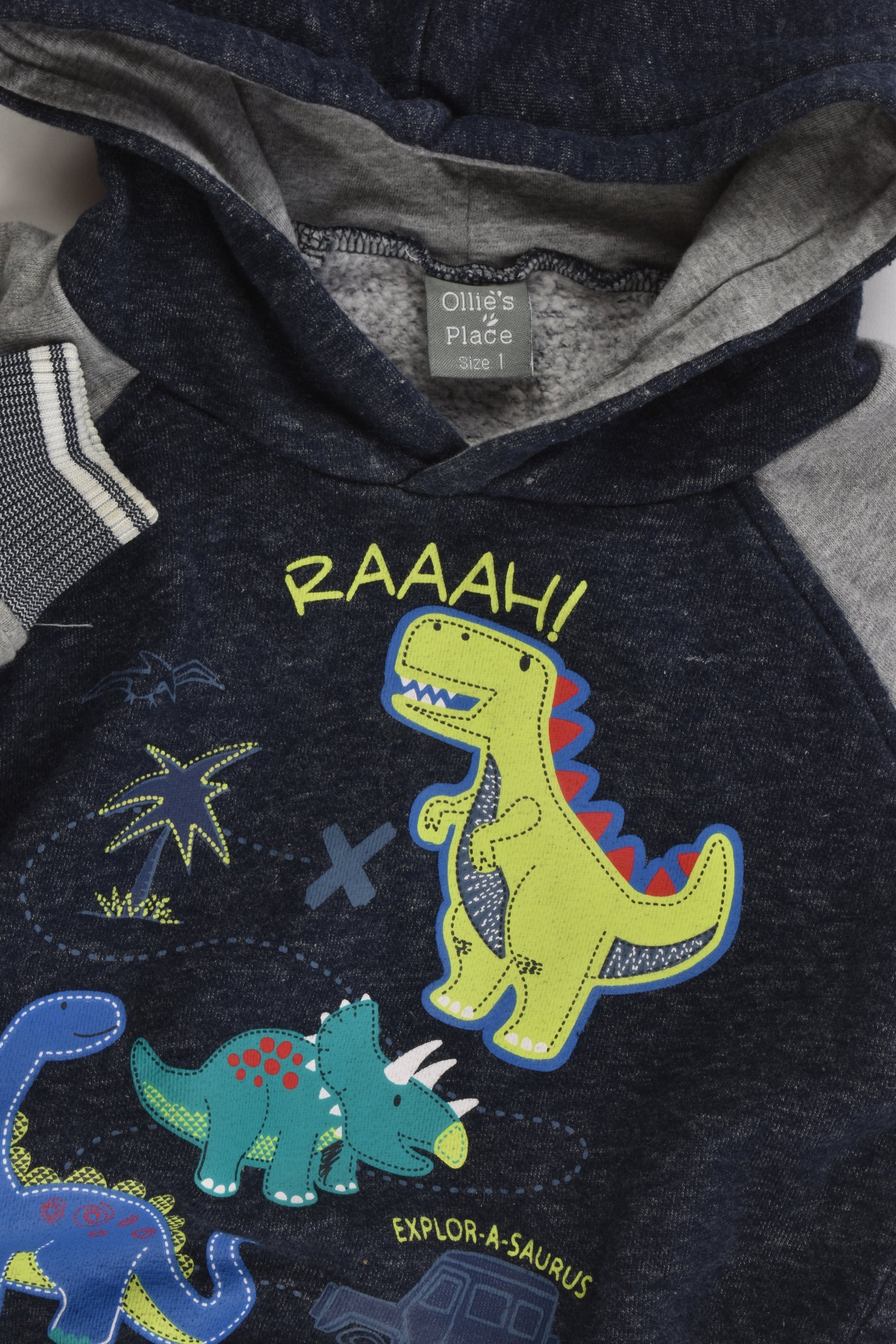 Ollie's Place Size 1 Dinosaur Hooded Jumper