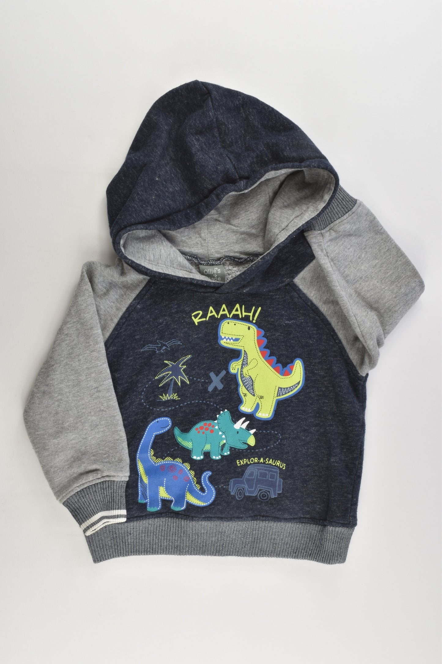 Ollie's Place Size 1 Dinosaur Hooded Jumper