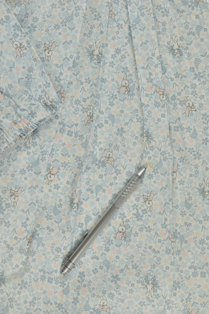 Peter Rabbit Size 1 Lined Dress