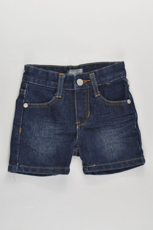 Pumpkin Patch Size 0 (6-12 months) Denim Shorts