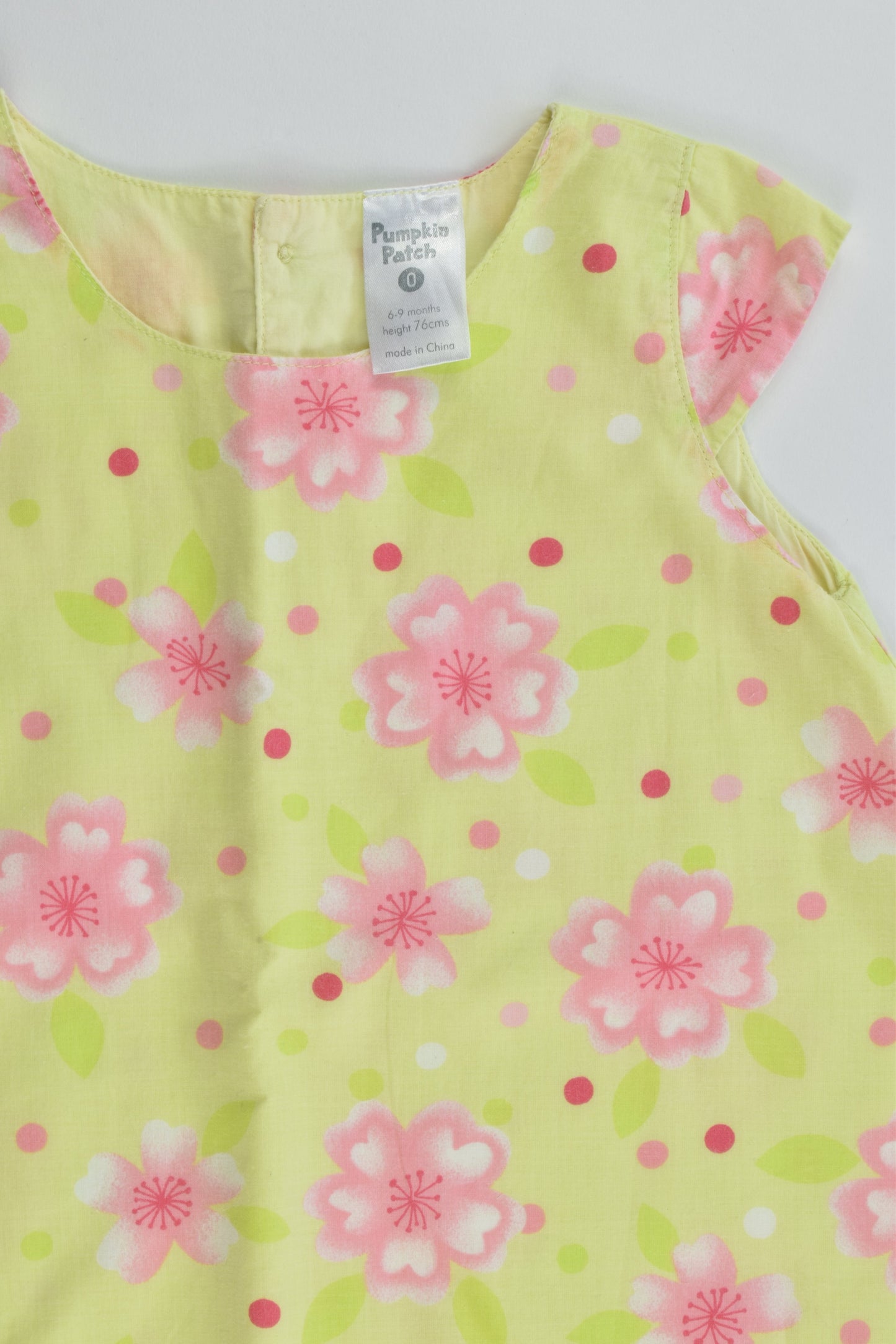 Pumpkin Patch Size 0 (6-9 months, 76 cm) Lined Floral Dress
