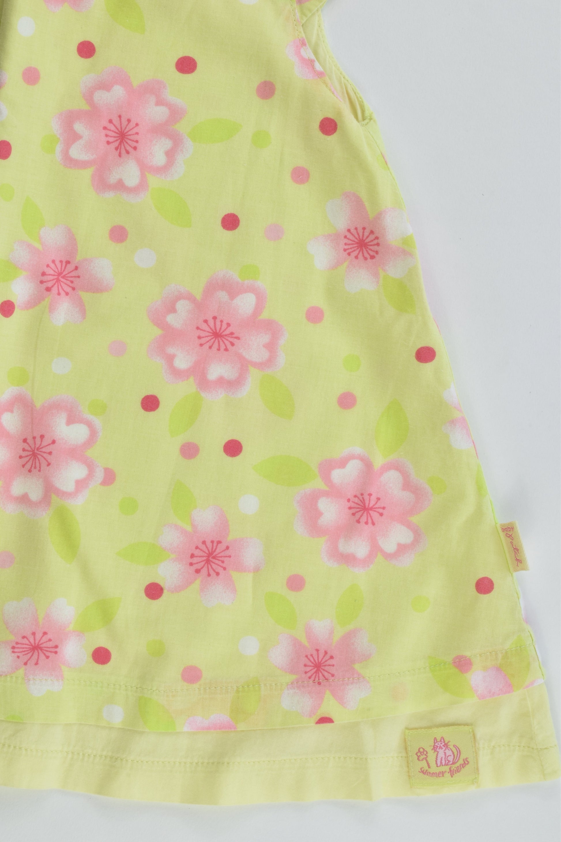 Pumpkin Patch Size 0 (6-9 months, 76 cm) Lined Floral Dress