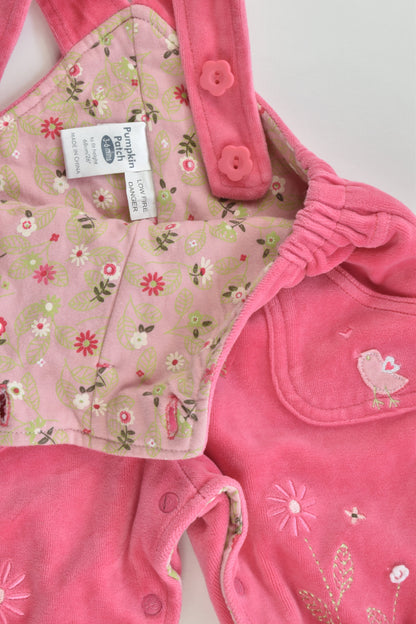 Pumpkin Patch Size 00 (3-6 months) Birds and Flowers Lightly Padded and Lined Velour Overalls