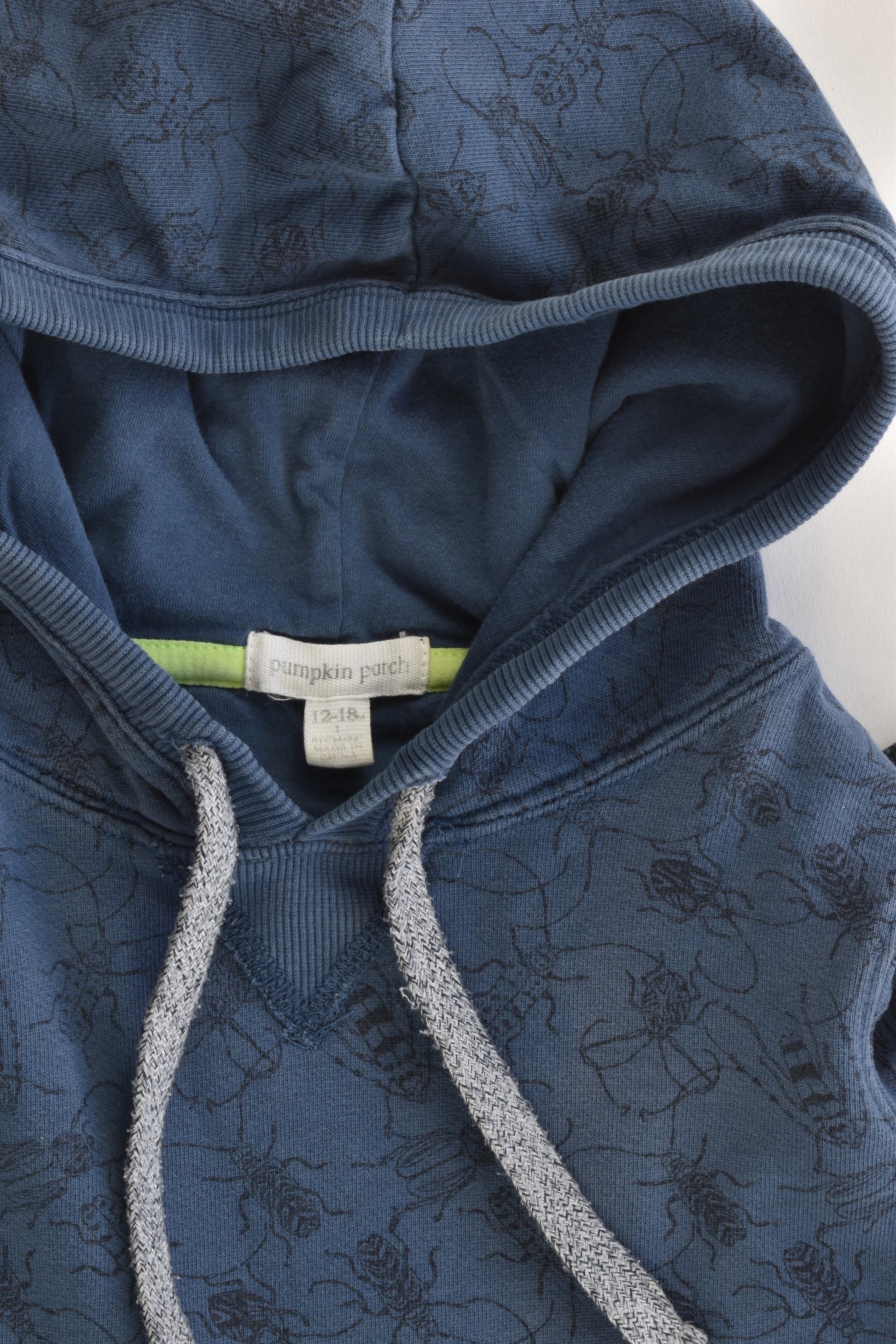 Pumpkin Patch Size 1 (12-18 months) Bugs Hooded Jumper
