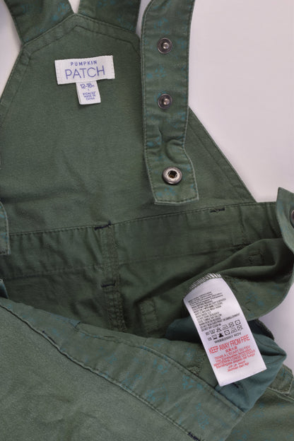 Pumpkin Patch Size 1 (12-18 months) Green Overalls