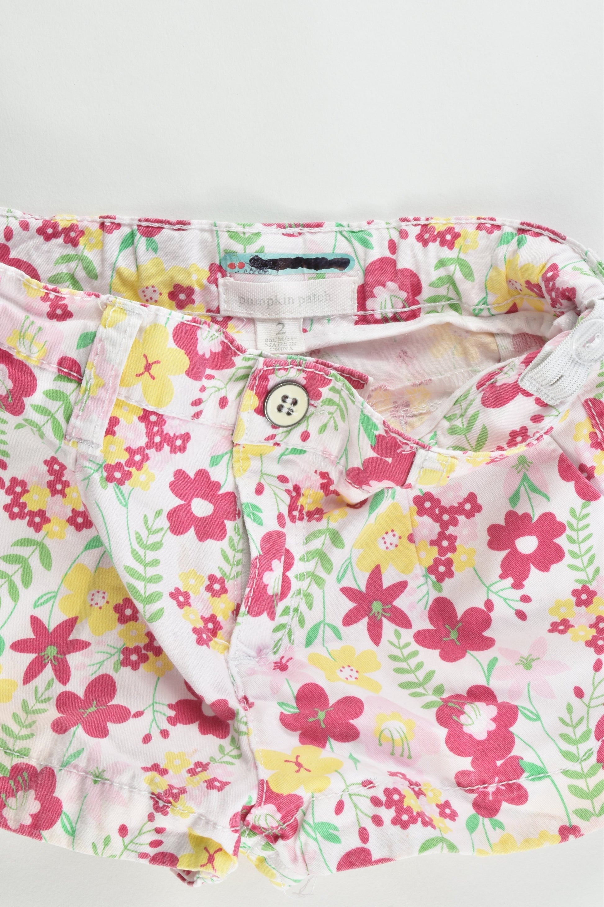 Pumpkin Patch Size 2 Shorts