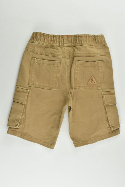 Pumpkin Patch Size 3-4 Stretchy Shorts