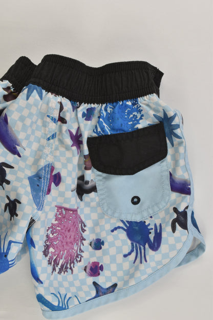 Quiksilver Size 2 Rashie Top and Board Shorts