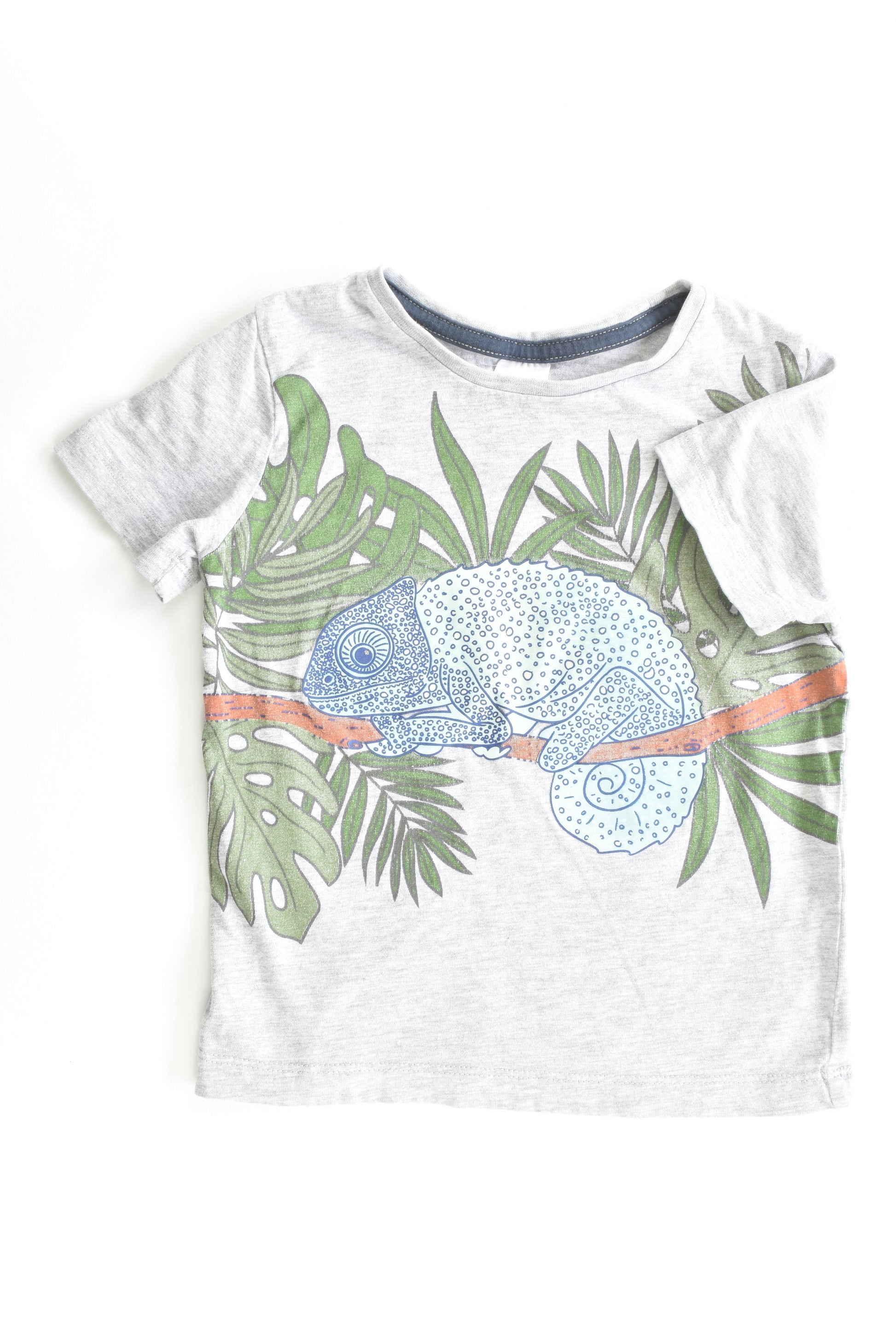 Target Size 3 Chameleon T-shirt