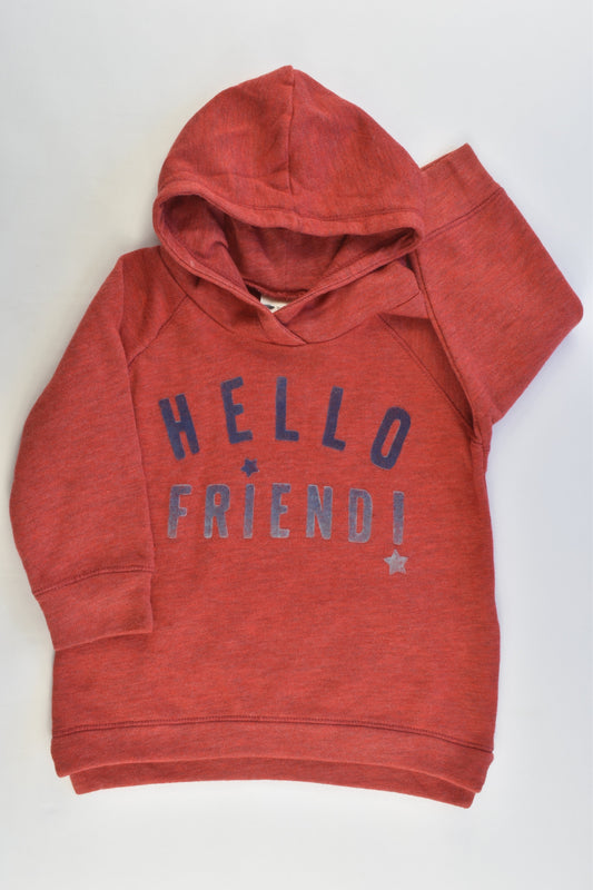Zara Size 9-12 months (Generous) "Hello Friend!" Hooded Jumper